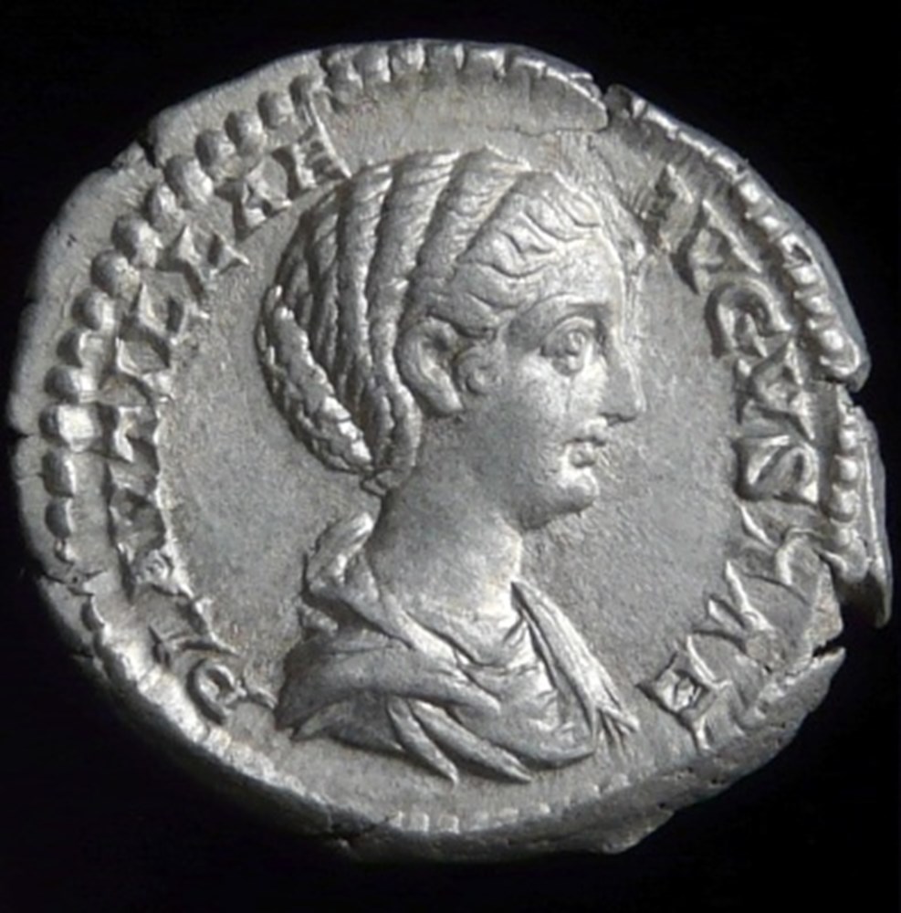  Fulvia Plautilla (en fran&ccedil;ais Plautille) &eacute;tait la fille de Gaius Fulvius Plautianus (en fran&ccedil;ais Plautien), un grand propri&eacute;taire de Leptis Magna en Afrique, et ami de l&rsquo;empereur Septime S&eacute;v&egrave;re...