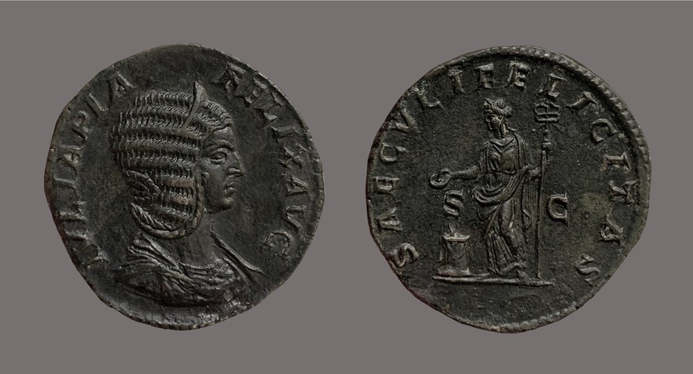6. Roman Imperial: The Year of the Five Emperors & The Severan Dynasty 6. Roman Imperial: The Year of the Five Emperors & The Severan Dynasty