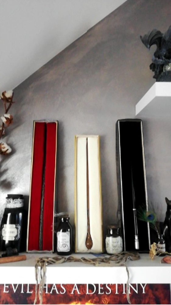  Ma collection d'objets d&eacute;di&eacute;s &agrave; l'univers de Harry Potter et des Animaux Fantastiques.&nbsp; 