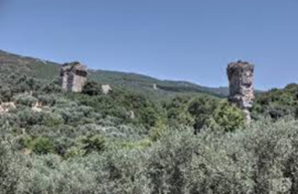 Mysie / Cyzique MYSIE – Cyzique (VIe - Ve siècle avant J.-C.) Cyzique, (en grec ancien Κύζικος / Kýzikos) était une cité grecque de Mysie, sur la Propontide (l'actuelle mer de Marmara)....