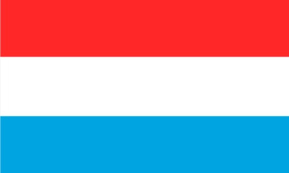  Le Luxembourg en quelques dates&nbsp; R&eacute;gime politique : le Grand-Duch&eacute; de&nbsp;Luxembourg est&nbsp;une monarchie constitutionnelle parlementaire. Les pr&eacute;rogatives du Grand-Duc, Henri de&nbsp;Luxembourg,&nbsp;sont&nbsp;d&eacute;l&eacute;gu&eacute;es au Premier ministre. La Chambre des d&eacute;put&eacute;s, compos&eacute;e...