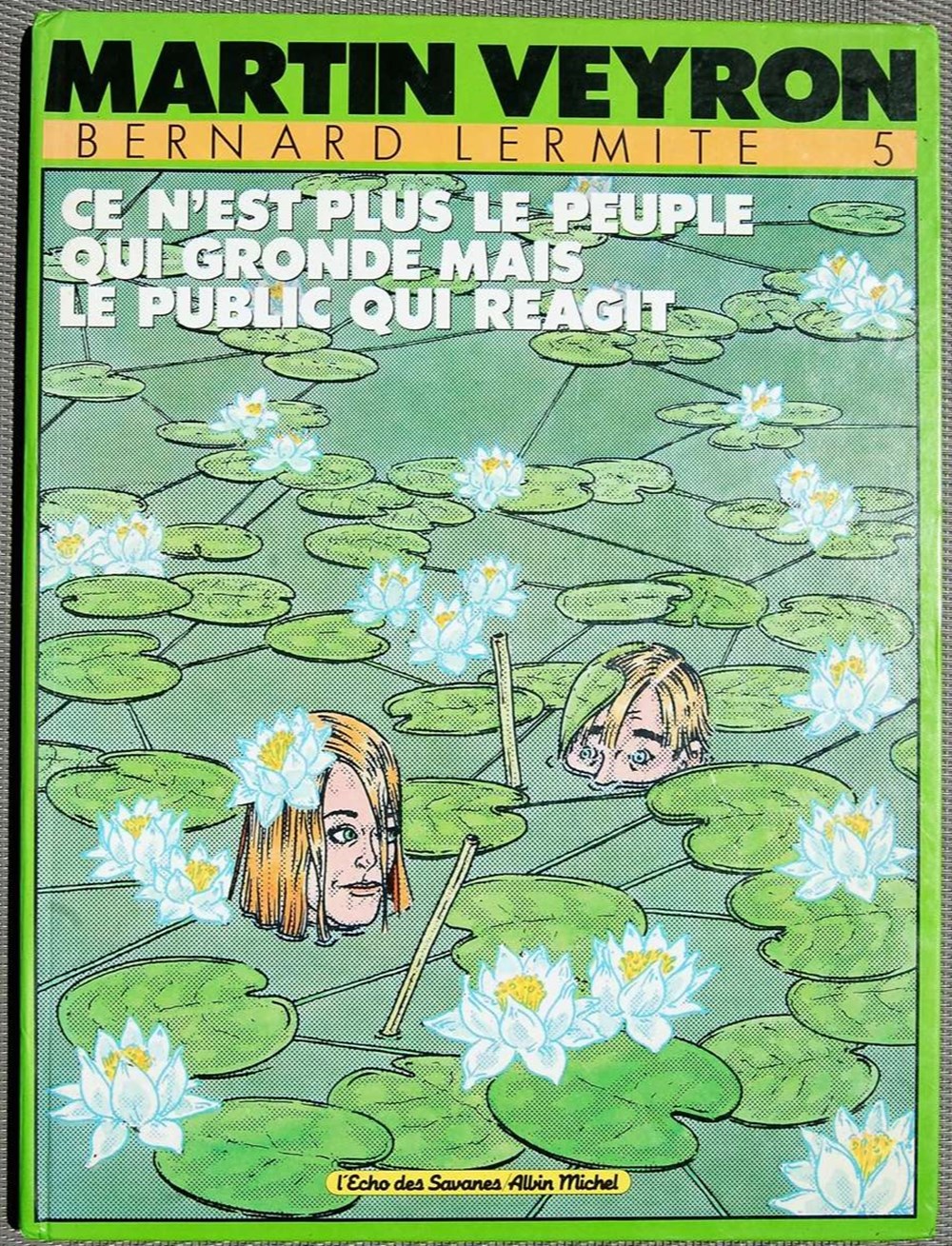 BD - Bernard Lermite Bernard Lermite est un personnage de Bande Dessinée française pour adultes, créé par Martin Veyron. Ses aventures sont parues dans les magazines L'écho des savanes et Pilote, ainsi qu'en...