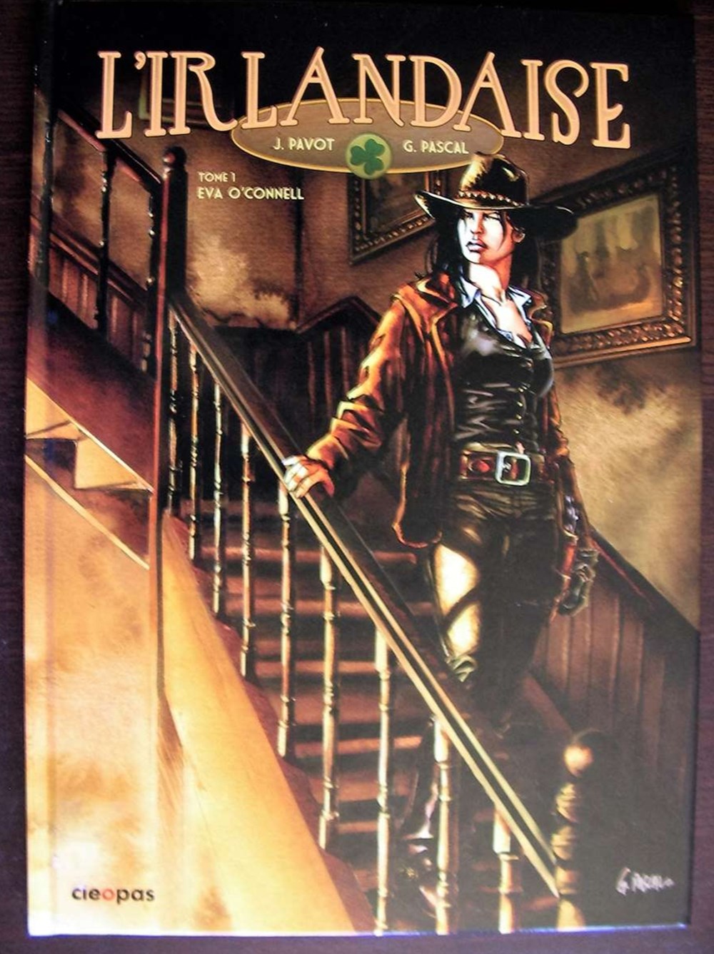 BD - Irlandaise (L') L'irlandaise est une série de Bande Dessinée western créée par le scénariste Jacques Pavot et le dessinateur Gilles Pascal en 2011. Des BD de cette collection sont en vente....