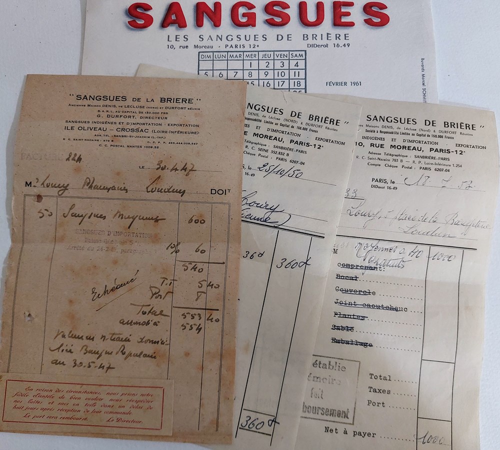 SANGSUES et Hirudothérapie On utilise des sangsues depuis l'antiquité. Les sangsues ont un effet immédiat et local comparable à une saignée . La Sécurité Sociale en a cessé les remboursements en 1972...