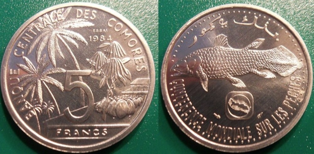 World Coins - Comores Monnaies modernes (maxi 100 ans) issues de brocantes, de bourses et de collègues rentrant de voyage