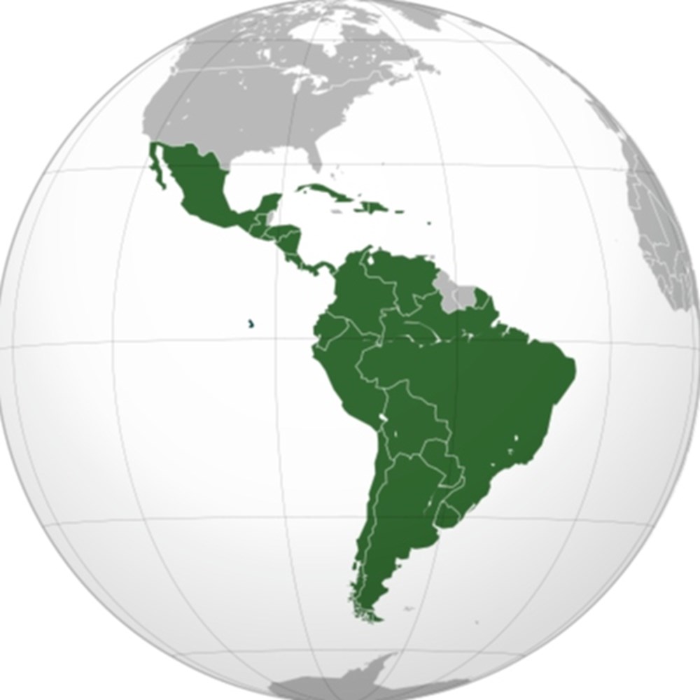 South & Central America coins Monnaies et Médailles de l'Amérique Centrale et de l'Amérique du Sud (Pays de langues Espagnole et Portugaise)