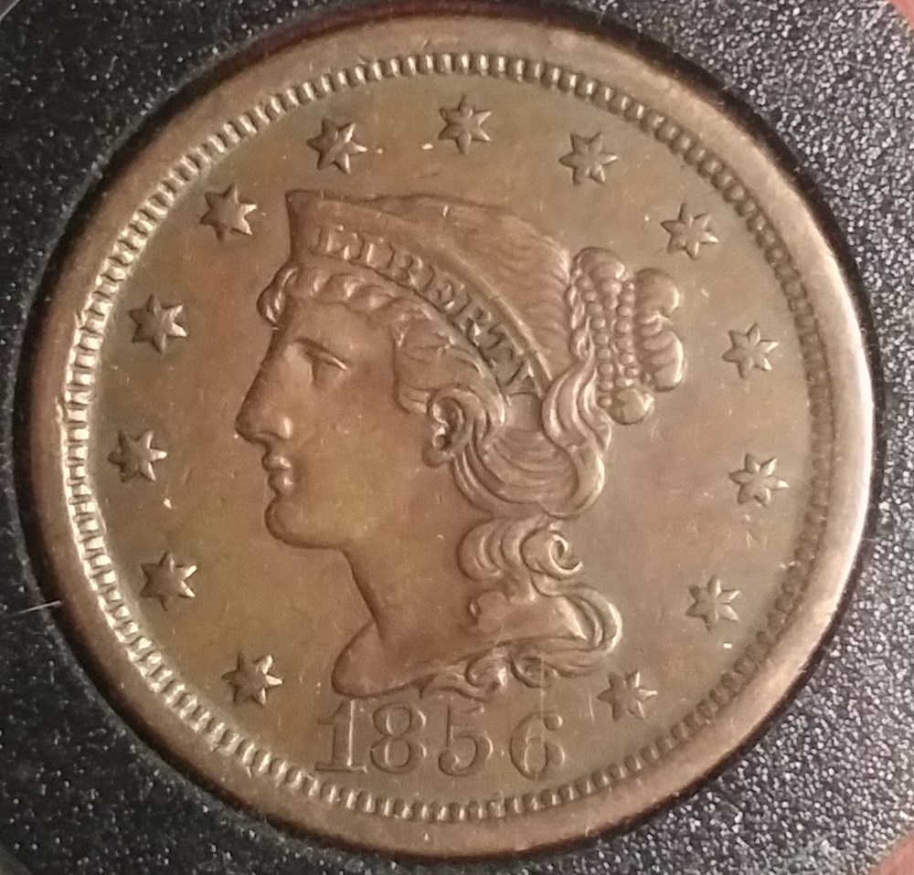 The $20 Large Cent set A set of US Large cents purchased in the $20 range (lowest was $6.50 and highest $27, average cost at this time is $16.50 per coin)