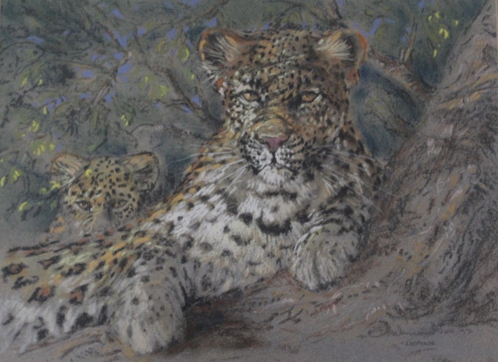 Chrisman Stander