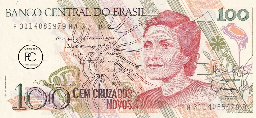 Bresil Le Brésil, vaste pays d'Amérique du Sud, s'étend du bassin amazonien au nord à des vignobles et aux chutes d'Iguaçu au sud. La ville de Rio de Janeiro, caractérisée...