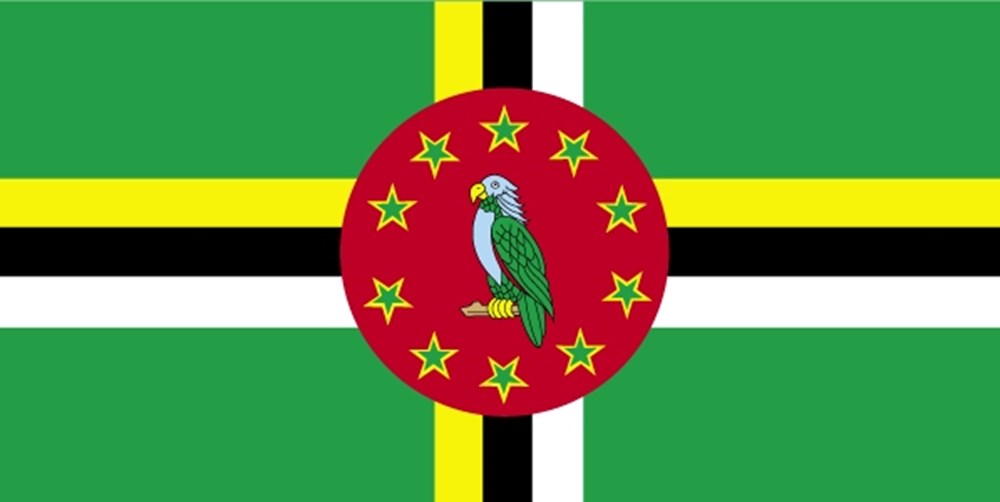 DOMINIQUE