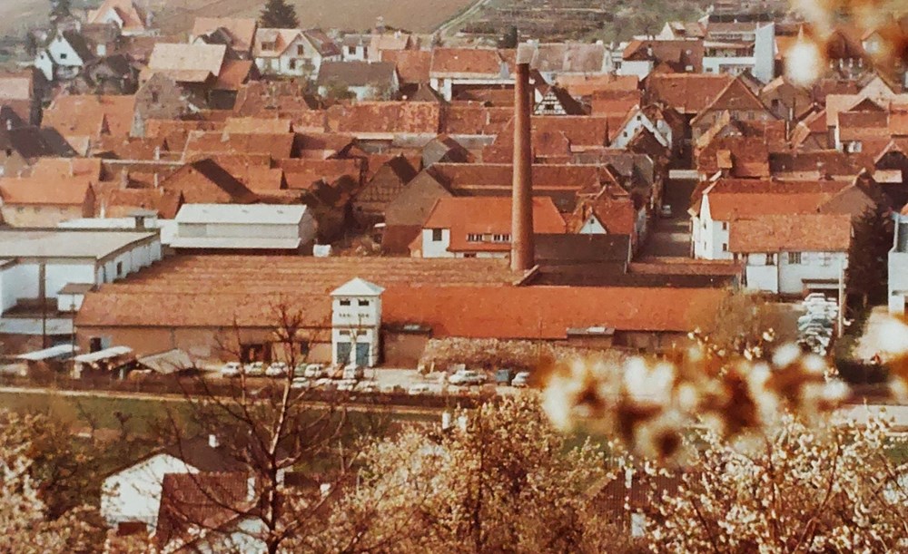  La grande usine textile de la SAPIT de la rue de l'Ecole ferm&eacute;e en 1958, n'est pas rest&eacute;e vide longtemps. L'entreprise Le B&oelig;uf qui fabriquait des appareils d'instrumentation s'y...