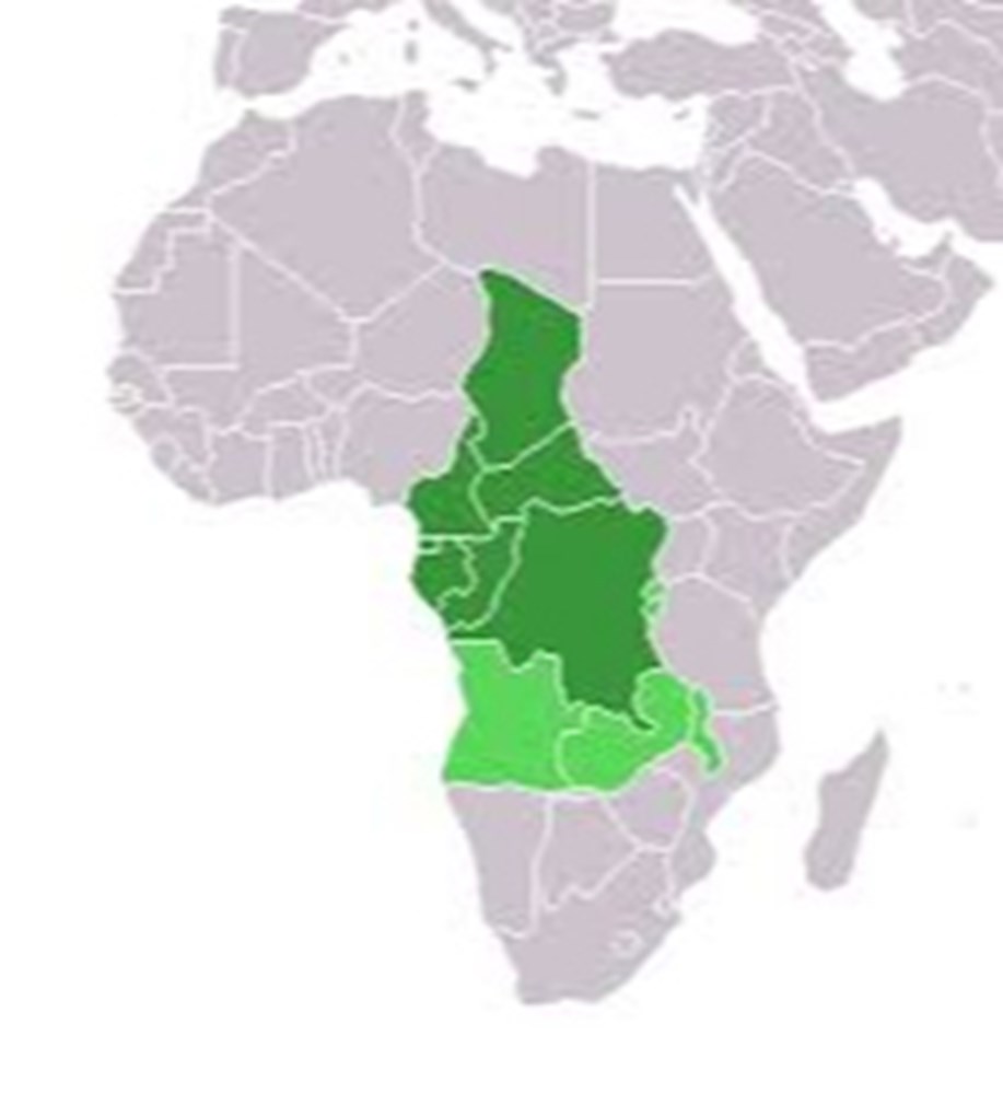 Monnaies du Monde - Etats d'Afrique Centrale Mes monnaies d'Afrique Centrale