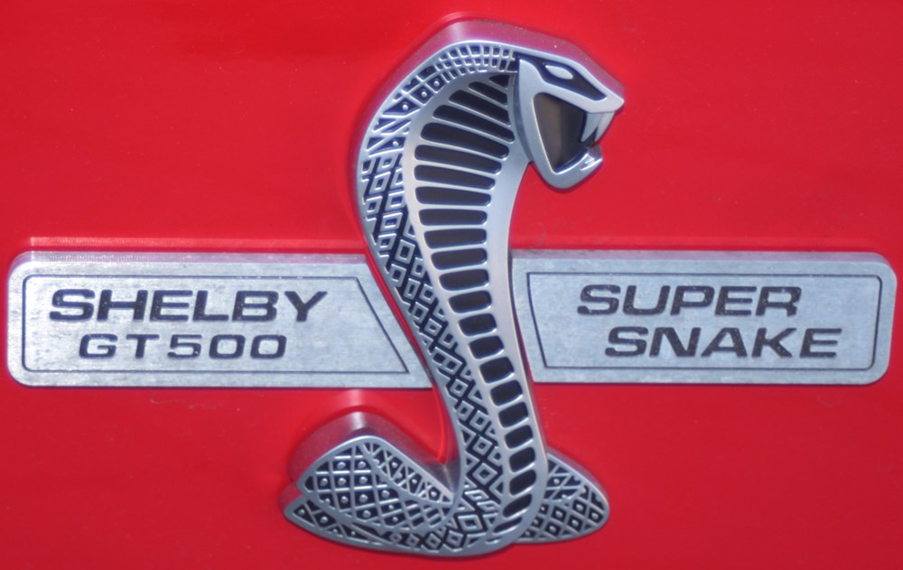 Shelby Shelby