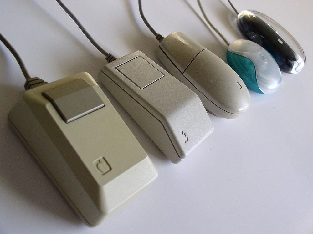 Souris Souris