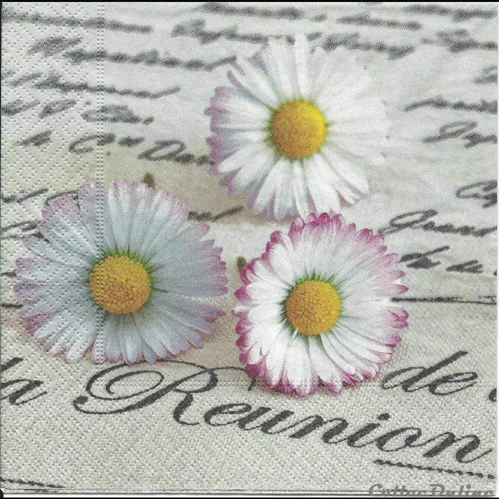 Blumenmotive Blumenmotive