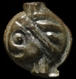Leuques