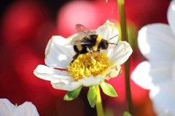 PHOTOGRAPHIE