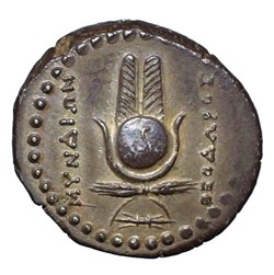 Ancient Greek Coins