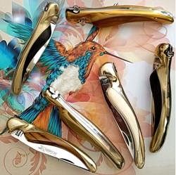 Mes colibris et oiseaux