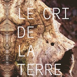 Galerie Claude Mollard