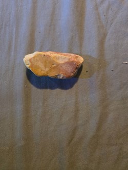 Rock Indian fossils