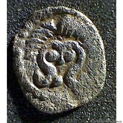ANDECAVES