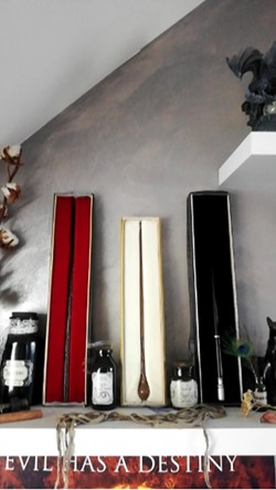 Harry Potter et Animaux Fantastiques
