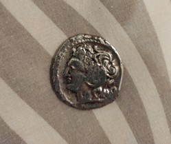 My Coins collection