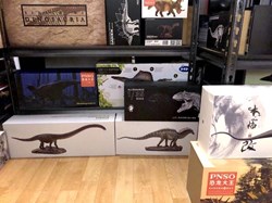 Dinosaures & autres animaux préhistoriques
