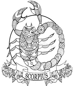 Les Scorpions de mon petit fils...