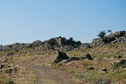 Troade / Néandria