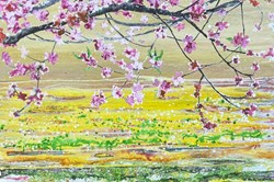 Peintures & Dessins  Maze