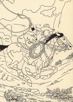 * Tintin - Carte/Illustration