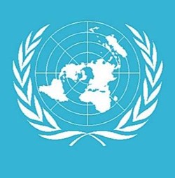 ORGANISATION DES NATIONS UNIES (O.N.U.)