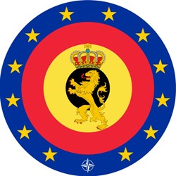 BELGIQUE - DECORATIONS ET MEDAILLES MILITAIRES/PARAMILITAIRES ASSOCIATIVES