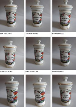 Pots fleuris