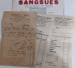 SANGSUES et Hirudothérapie