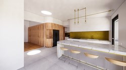 Renovation Feasibility Study by Whisker Architecture