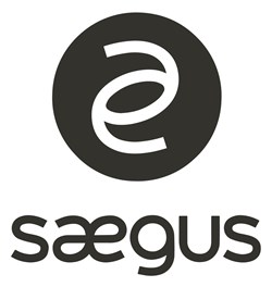 Welcome to the Saegus Office