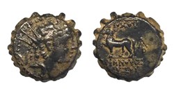 Shakti Sharma Collection