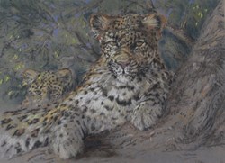 Chrisman Stander