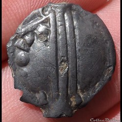 Segvsiaves