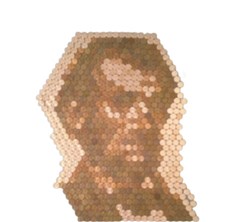 All Coins
