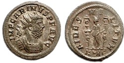 Carinus