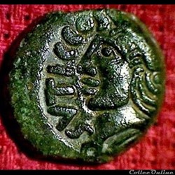 Véliocasses
