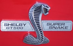 Shelby