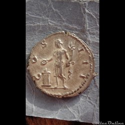 Romaines - vrac