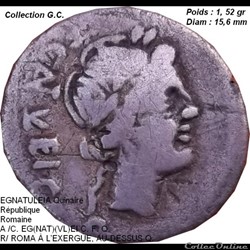EGNATULEIA Quinaire