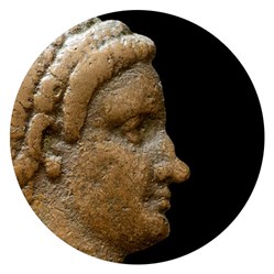 Cabinet de curiosités