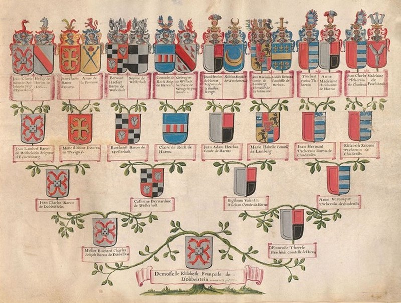 Arbre généalogique